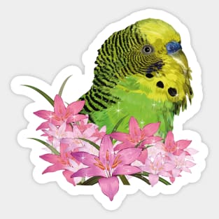 Australian parakeet Sticker